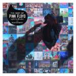 Pink Foyd The Best Of Pink Floyd: A Foot In The Door Vinyl Album